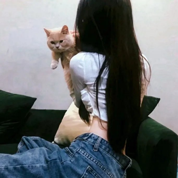 我爱看美眉
